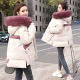Down padded jacket women short new cotton jacket - Livefree