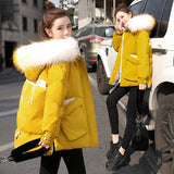 Down padded jacket women short new cotton jacket - Livefree