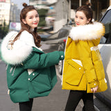 Down padded jacket women short new cotton jacket - Livefree