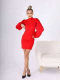 Mock Neck Puffed Satin Sleeve Body-con Mini Dress