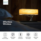 Modern led table lamp for bedroom dimmable bluetooth Speaker phone Charger wireless desk lamp bedside lamp table light tree lamp - Livefree