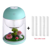 Mini Portable Mist Humidifier Transparent Micro-landscape Air Humidifier Spray Air Purifier Diffuser with LED Lights for Home - Livefree