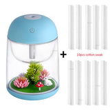 Mini Portable Mist Humidifier Transparent Micro-landscape Air Humidifier Spray Air Purifier Diffuser with LED Lights for Home - Livefree