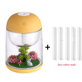 Mini Portable Mist Humidifier Transparent Micro-landscape Air Humidifier Spray Air Purifier Diffuser with LED Lights for Home - Livefree