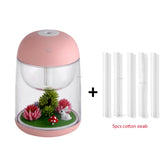 Mini Portable Mist Humidifier Transparent Micro-landscape Air Humidifier Spray Air Purifier Diffuser with LED Lights for Home - Livefree