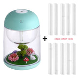 Mini Portable Mist Humidifier Transparent Micro-landscape Air Humidifier Spray Air Purifier Diffuser with LED Lights for Home - Livefree