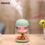 Mini Portable Mist Humidifier Transparent Micro-landscape Air Humidifier Spray Air Purifier Diffuser with LED Lights for Home - Livefree