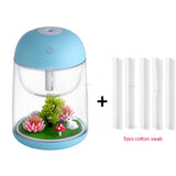 Mini Portable Mist Humidifier Transparent Micro-landscape Air Humidifier Spray Air Purifier Diffuser with LED Lights for Home - Livefree