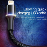 Baseus USB Cable For iPhone 12 11 13 Pro XS Max Xr X 8 7 6 LED Lighting Fast Charge Charger Date Phone Cable For iPad Wire Cord - Livefree