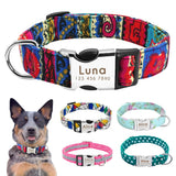 Nylon Dog Collar Personalized Pet Collar Engraved ID Tag Nameplate Reflective for Small Medium Large Dogs Pitbull Pug - Livefree