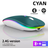 Rechargeable Bluetooth Wireless Mouse with 2.4GHz USB RGB 1600DPI Mouse for Computer Laptop Tablet PC Macbook Gaming Mouse Gamer - Livefree